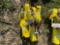 QTY (5) RATCHET TIE DOWN 2