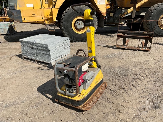 WACKER BPU5545 SMOOTH WALK BEHIND COMPACTOR SN: 5100009658