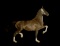 Horse Name:  Gentana; Sired by: Cizandro; Dam by:  Woodbridge Walda; A well