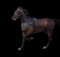 Horse Name:  Captain Megen; Sired by: Swan For All ; Dam by:  Fiona Kemp ;