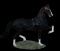 Horse Name:  Fandango; Sired by: Albert ; Dam by:  Volijanne; Fandango is a