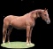 Horse Name:  R-M Ina Girl; Sired by: Windfall; Dam by:  R-M Ina; A brood ma