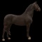Horse Name:  Rex (Breeding Share); Sired by: Trevor ; Dam by:  Abby ; Produ