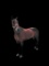 Horse Name:  Show Me The Gate ; Sired by: Southwind Elian ; Dam by:  ; 6 ye