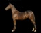 Horse Name:  Pending; Sired by: GDH Manteno; Dam by:  Rebar Acres Marissa;