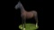 Horse Name:  BJ'S Irena ; Sired by: Gambler ; Dam by:  Tigranta ; A nice sh