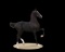 Horse Name:  Starlite's LouLijanna; Sired by: Baanbreker ; Dam by:  Volijan