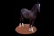 Horse Name:  Lenderose C.L.; Sired by: Hampton's Great Day; Dam by:  Vender