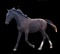 Horse Name:  R-M's Luster; Sired by: Frank O; Dam by:  R-M  Ina Girl; There