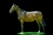 Horse Name:  Perfect Worth; Sired by: Carrland Eddy; Dam by:  NF Noteworthy