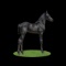 Horse Name:  TPE's Magic Mike; Sired by: Tjerk fan Bonnieview ; Dam by:  MM