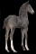Horse Name:  Albre-T; Sired by: Hirot ; Dam by:  OTH Miss Alberta; Albre-Ti