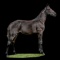 Horse Name:  CJ's Cadell; Sired by: Keystone Forego; Dam by:  Let's Make It