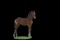 Horse Name:  Rosedale Diedra; Sired by: The Black Banana; Dam by:  Incredib