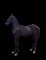 Horse Name:  No Name ; Sired by: CJ's Victor; Dam by:  Andrews Jenny Rose;