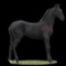 Horse Name:  Fashion Girl; Sired by: Rex ; Dam by:  Queen ;
