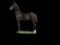 Horse Name:  Sloping Hills Myra; Sired by: Heckaman; Dam by:  Five Stars Ji