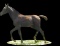 Horse Name:  Rare Ianna; Sired by: Rex ; Dam by:  HLA Arianna; Black filly.