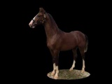 Horse Name:  Super Trooper ; Sired by: Fandango ; Dam by:  Nikki; Smart lot