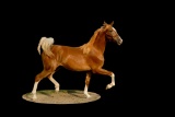 Horse Name:  M.V.A. Manny; Sired by: GDH Manteno; Dam by:  Horseshoe Lane's