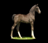 Horse Name:  Melody Acres My-Quest; Sired by: Nel-Mar Hummer ; Dam by:  Mel