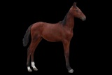 Horse Name:  Pending; Sired by: Brazen; Dam by:  Filly Fulmer; Sharp colt!
