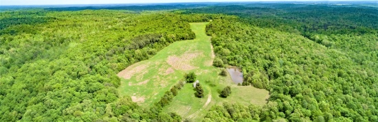 209 Acres Cerulean Area Land Auction