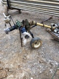 Caprari Irrigation Pump