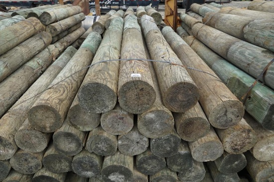 Bundle of Posts