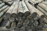 Bundle of Posts