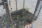 6x4' Chain Link Safety Cage with Steel Floor