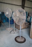 3 Fans on Stands
