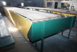 Wooden board slat transfer Conveyor