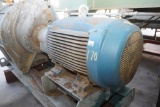 Weg Electric Motor