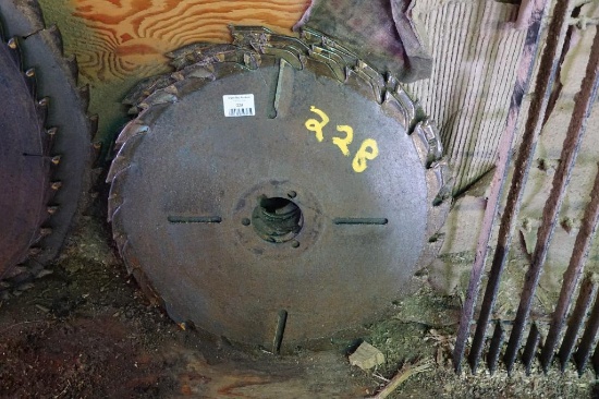 21" Sawblades