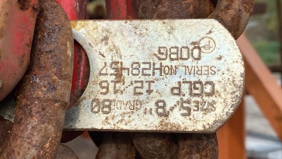 Hoisting Chain