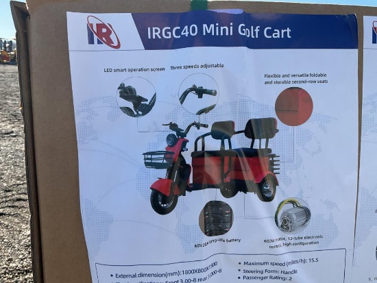 Unused 2025 IRGC40 ELECTRIC TRICYCLE