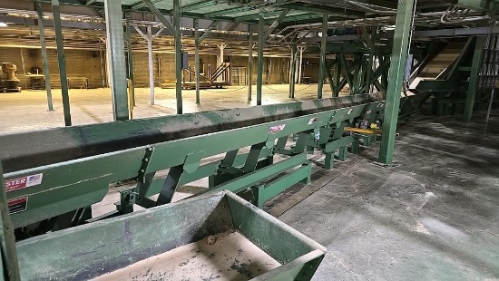 Webster Vibrating Conveyor