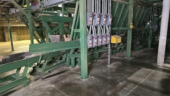 Webster Vibrating Conveyor