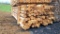 White Cedar Fence Posts