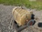 40 HP Baldor Electric Motor*