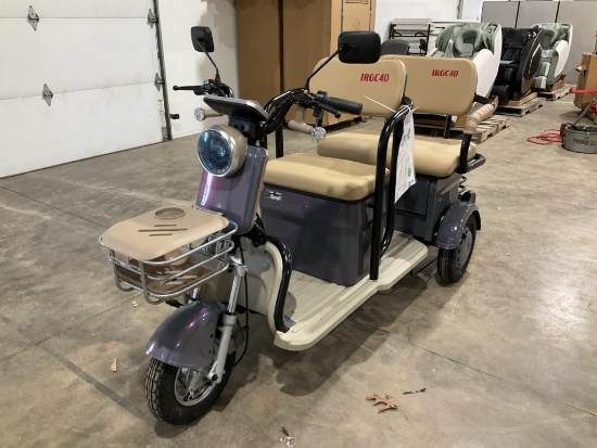 IRGC40 Mini Golf Cart