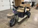 IRGC40 Mini Golf Cart