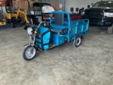 IRET13 Electric Tricycle