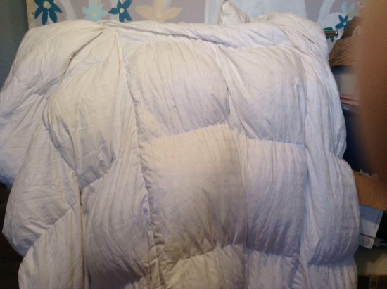 100% Cotton Down Comforter Full/Queen?