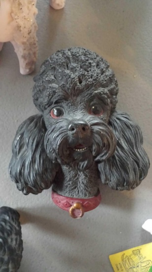 Beautifully Realistic Bosson's Chalk Poodle Head