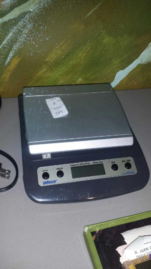 Nice Palouze Scale (battery operated AA)