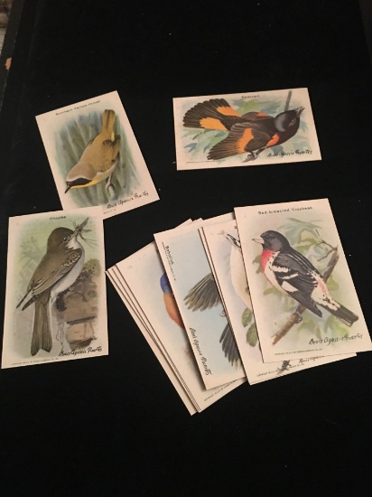 Antique bird lithograph cards Arm & Hammer advertising