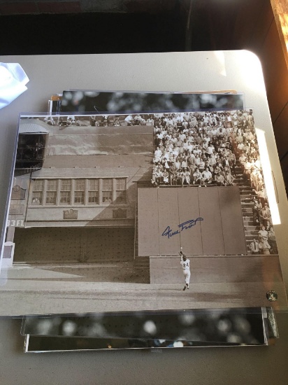 Large 16x20 Willie Mays autographed photo of the catch. Say Hey authenticated