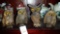 (4) Cute Wooden Owl Figures